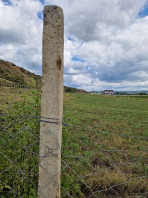 11000 teren intravilan +extra, Vernesti  - imagine 5