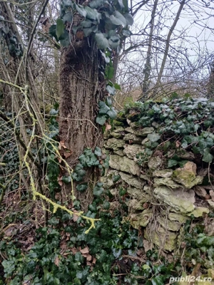  Casa pretabila vanatorilor sau doar vacanța.63km de Constanta