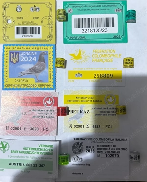 inele porumbei de colectie - imagine 4