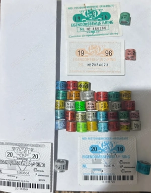 inele porumbei de colectie - imagine 5