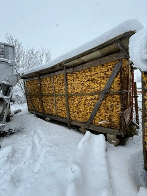 vand porumb uscat pe coşer