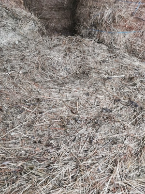 Baloti de fan rotunzi