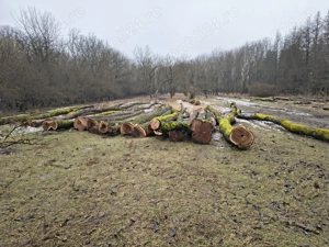 vând lemn de foc - imagine 2