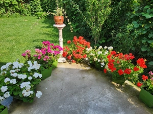 Casa de vanzare lângă Seminarul Teologic - imagine 4