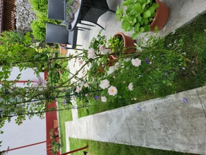 Casa de vanzare lângă Seminarul Teologic - imagine 5