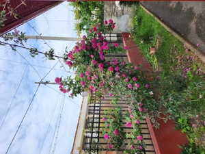 Casa de vanzare lângă Seminarul Teologic - imagine 3