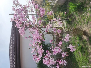 Casa de vanzare lângă Seminarul Teologic - imagine 6