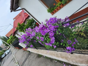 Casa de vanzare lângă Seminarul Teologic - imagine 7