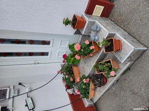 Casa de vanzare lângă Seminarul Teologic - imagine 10