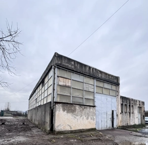 Hală de vânzare   Târgu Jiu | 367 mp | Înălțime 7 m - imagine 3
