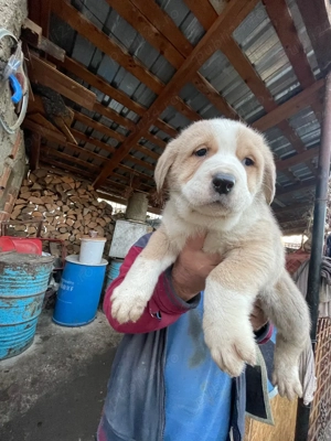 Asia Central ! - imagine 2