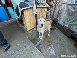 Asia Central ! - imagine 3