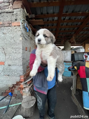 Asia Central ! - imagine 5