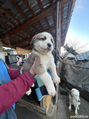 Asia Central ! - imagine 4