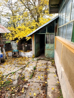 Casa batraneasca de vanzare - imagine 3