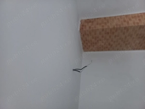 Zugravi cu experienta  - imagine 3