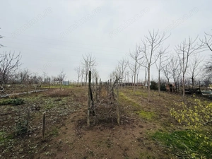 Casă cochetă - Cartierul Episcopia Bihor - IMOBIHOR -109.500  - imagine 7