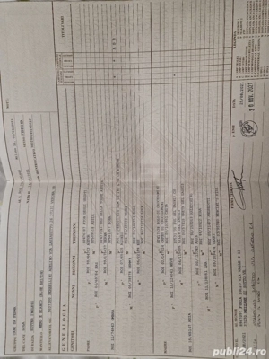 Vand femela Setter englez - imagine 5