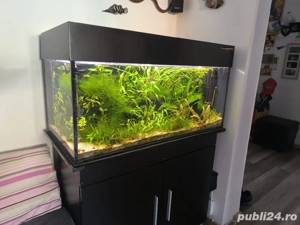Acvariu plantat complet - imagine 2