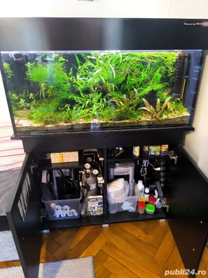 Acvariu plantat complet - imagine 5