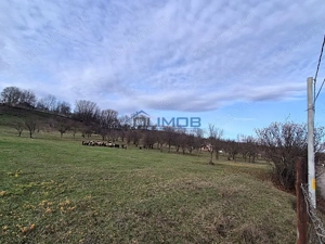 Valenii de Munte | 9123 mp | deschidere 45 - imagine 7