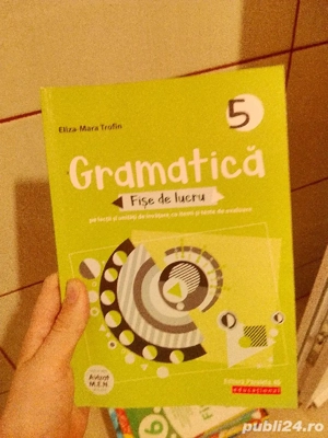 vand culegere romana gramatica