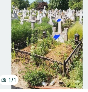 concesionez loc de veci Ghencea civil