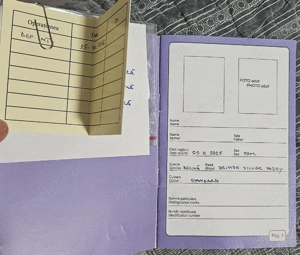 Pui Pisica British Silver Tabby - imagine 2