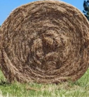 Baloti fan 120x120 150 lei negociabil