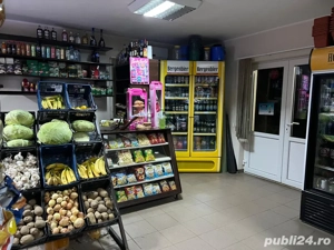 PROPRIETAR, Vând casă + 1800 mp teren + afacere la cheie - imagine 4