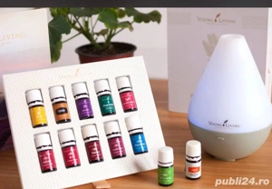 kit young living