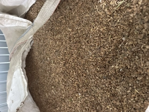 Vând sămânță de sparceta - imagine 2