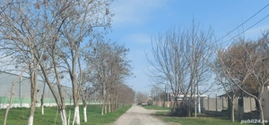 Teren de Vanzare intravilan 514mp - loc. Lumina Constanta - imagine 4