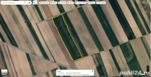 Teren extravilan 4578 mp | Horodnic de Sus | Acces drum|  Intabulat | Acte la zi. - imagine 2