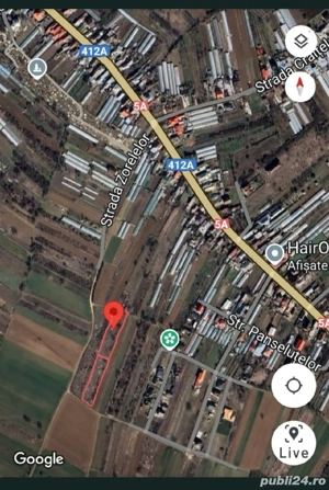 Teren intravilan Adunatii Copăceni  - imagine 2