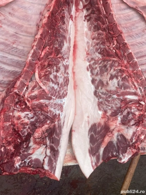 Vand porc de carne cu posibilitate de transare - imagine 3