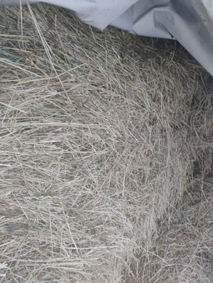 50 de baloți de fân 120 160 - imagine 4
