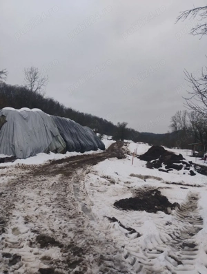 50 de baloți de fân 120 160 - imagine 3