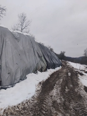 50 de baloți de fân 120 160 - imagine 2