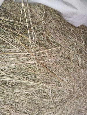 50 de baloți de fân 120 160 - imagine 5