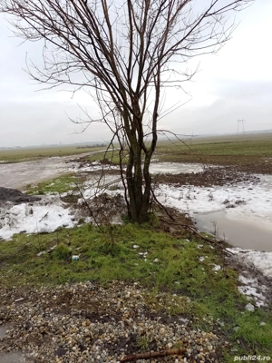 Oraș Popești-Leordeni, teren, zona industriala cu utilitati - imagine 5