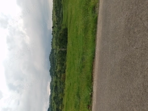 Teren intravilan 3600mp - imagine 5