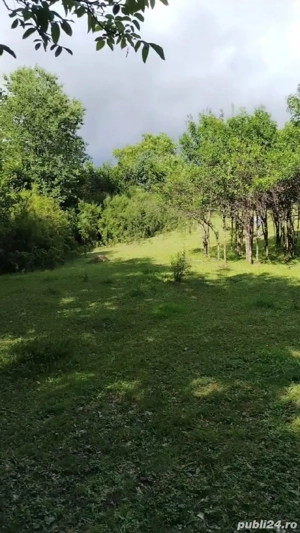 Teren extravilan Sisesti de vanzare71arii - imagine 3