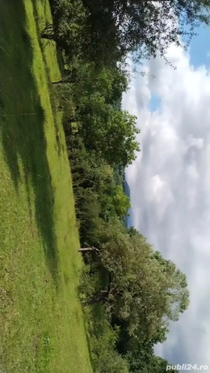 Teren extravilan Sisesti de vanzare71arii - imagine 4