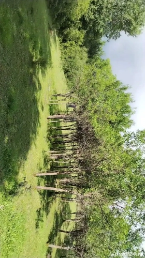 Teren extravilan Sisesti de vanzare71arii - imagine 7