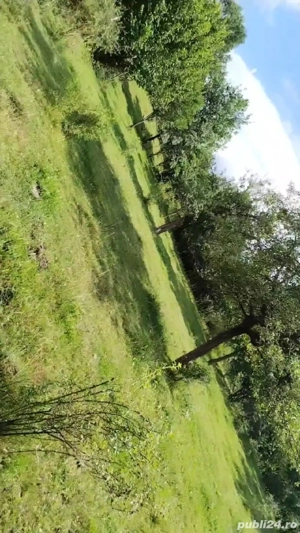 Teren extravilan Sisesti de vanzare71arii - imagine 6