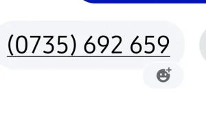 Căței tekel originali - imagine 5