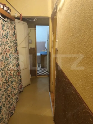 Apartament cu 3 camere, 2 bai, 2 balcoane, renovabil, 67 mp, zona - Nufarul - imagine 10