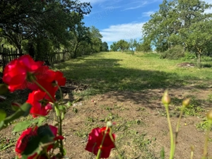 Casa de vanzare la munte - imagine 5