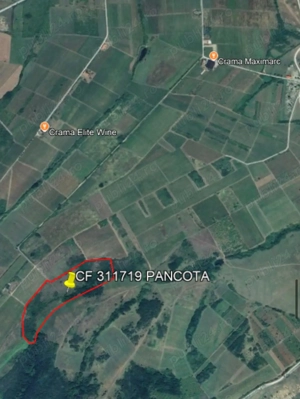 Vanzare teren extravilan 5,01ha lot compact + teren extravilan 0,21ha la sosea - MADERAT